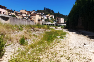 Montelupo-Pesa-in-secca_Toscana-ambiente