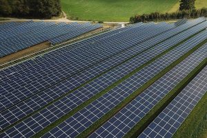 Un esempio di fotovoltaico agricolo.