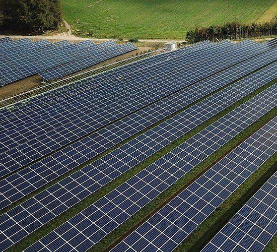 Un esempio di fotovoltaico agricolo.