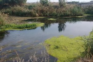 Fiume-Tara_Toscana-ambiente