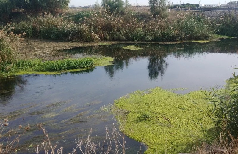 Fiume-Tara_Toscana-ambiente