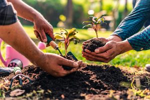 regolamento-Agricoltura-sociale-Regione-Toscana-ambiente