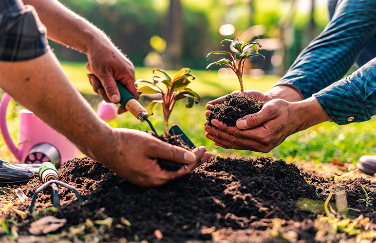 regolamento-Agricoltura-sociale-Regione-Toscana-ambiente