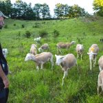 scuola-pastori_foreste-casentinesi_Toscana-ambiente