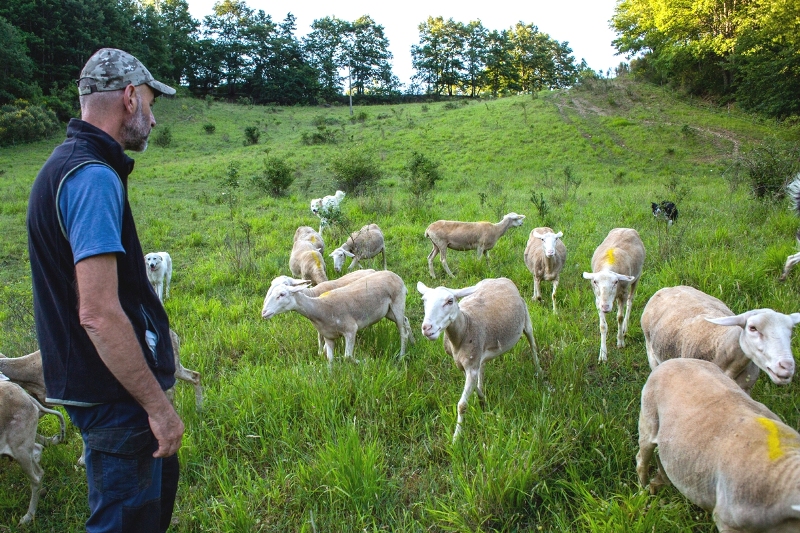 scuola-pastori_foreste-casentinesi_Toscana-ambiente