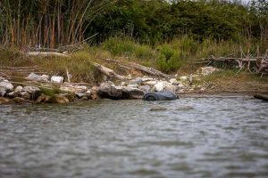 fiume-stato-acque_Toscana-ambiente