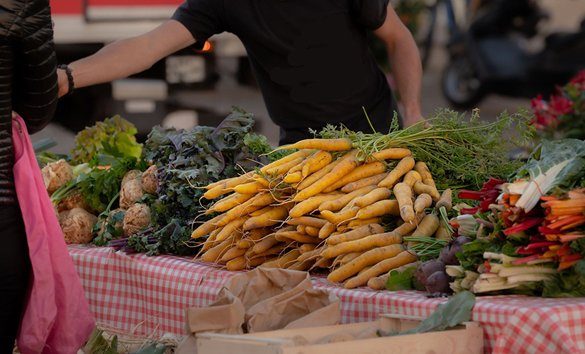 mercati-contadini-bio-biologico-Toscana-ambiente