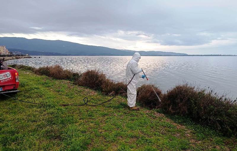 Orbetello-laguna-disinfestazioni_Toscana-ambiente